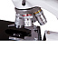 бинокулярный  микроскоп Levenhuk MED 10B