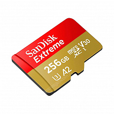 SanDisk SDSQXBZ-256G-GN6MA