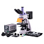 MAGUS Lum 400 - люминесцентный микроскоп