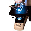 бинокулярный микроскоп Levenhuk MED 40B подсветка
