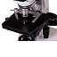 Микроскоп Levenhuk MED 20T, тринокулярный  подложка