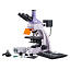 MAGUS Lum D400L - люминесцентный цифровой микроскоп